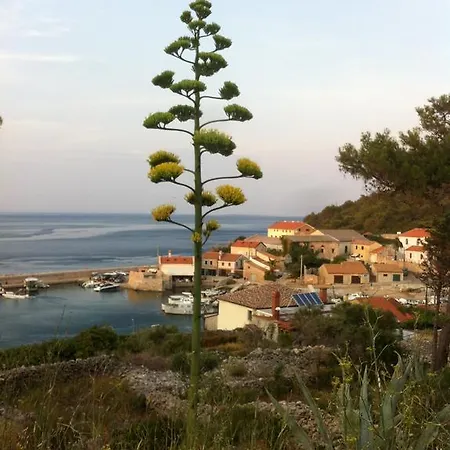 Katja Mali Losinj