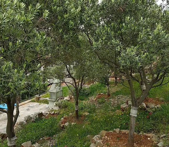 Katja *